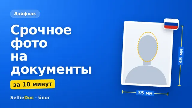 Телефон с готовым фото на документы на экране — срочное фото из селфи